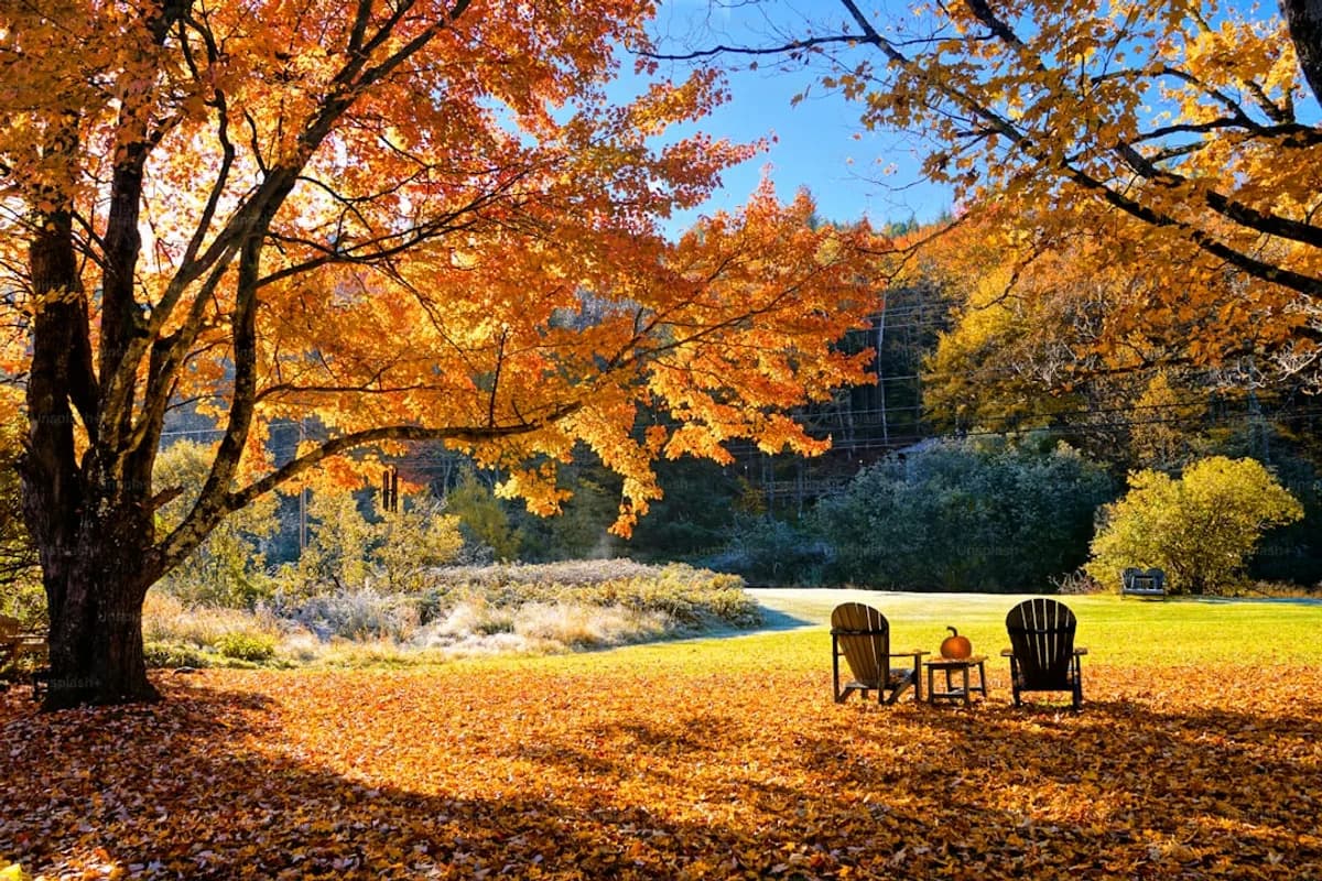 Best Time to Visit the USA: Month-by-Month Seasonal Guide