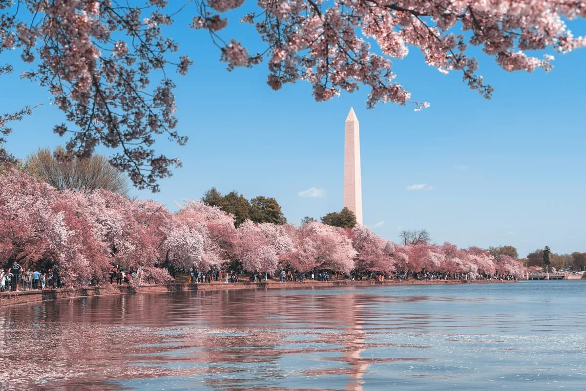 National Mall Bike Tour in Washington DC