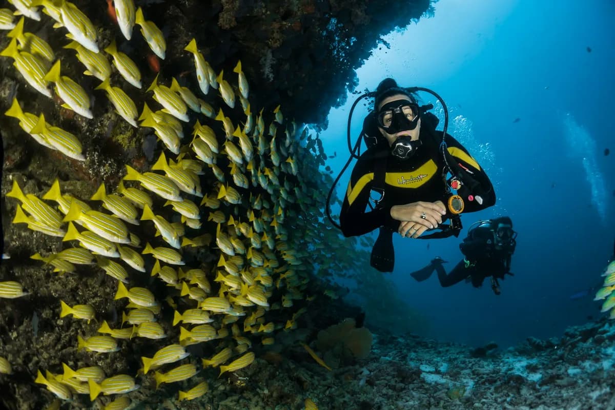 Snorkeling in Hawaii