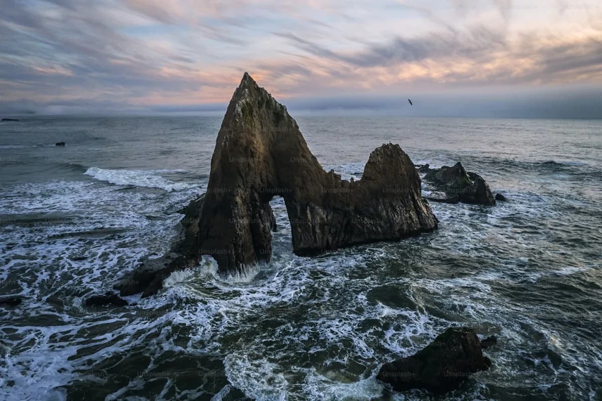 West Coast